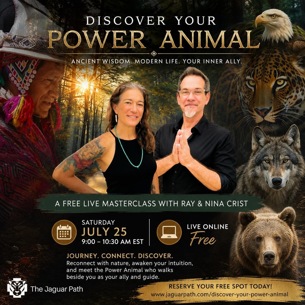 POWER ANIMAL AD 