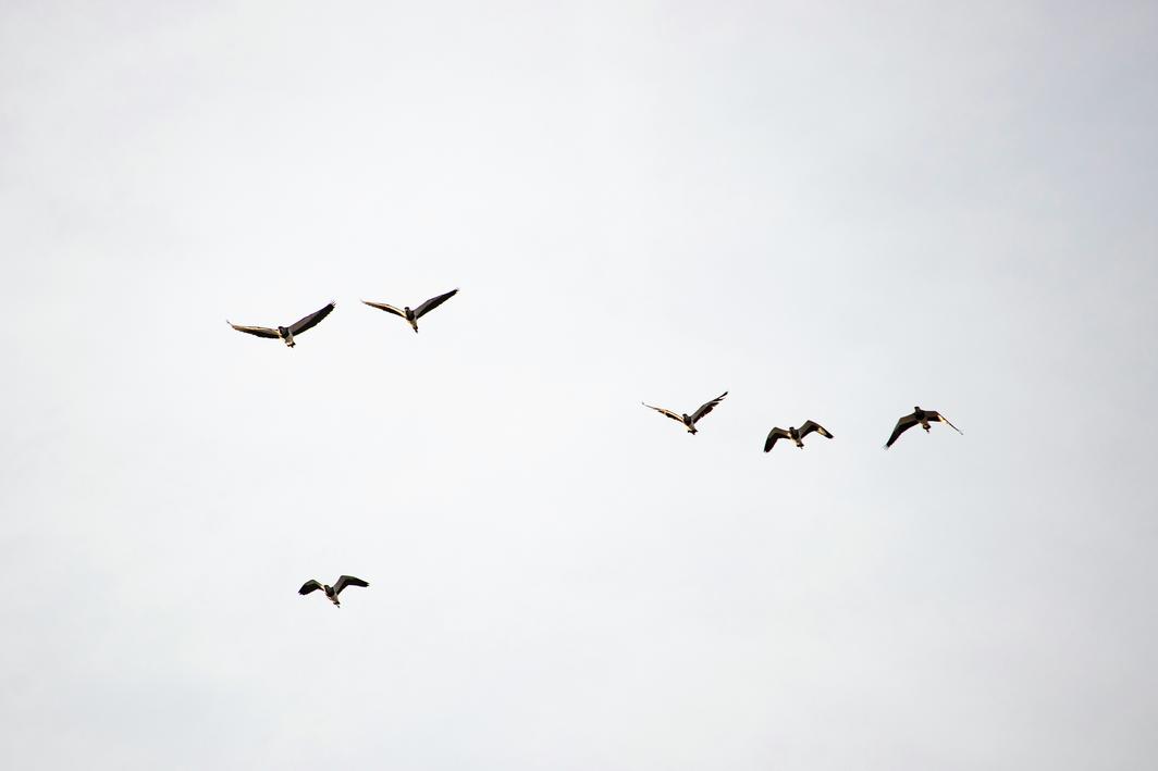 julia-craice-EX8PJ7D7RoA-unsplash