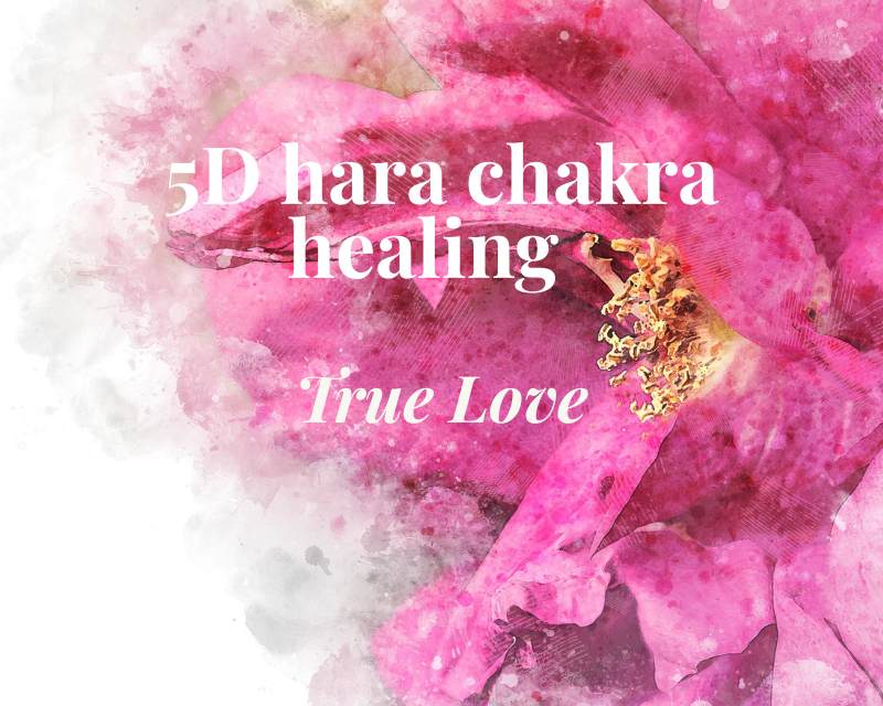 5D hara chakra 