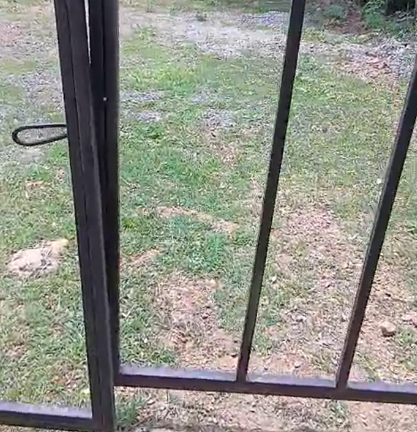 brokenfence.jpg