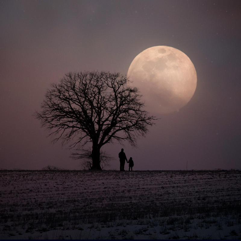 Moon and tree