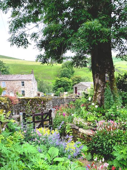 Garden and cottage