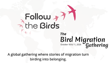A global gathering wher stories of migration turn birding into belonging