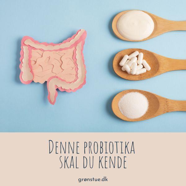 ny probiotika