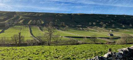 Wharfedale fields near Kettlewell