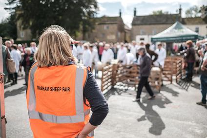 Masham Sheep Fair volunteer