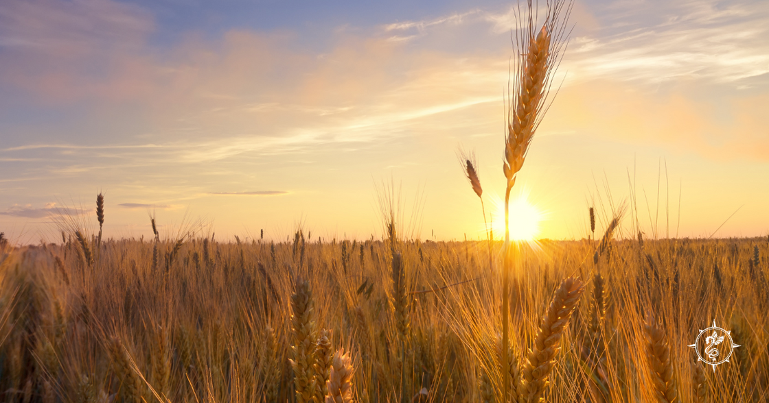 The Spirit of Lammas Honouring Abundance and Summer’s Peak2