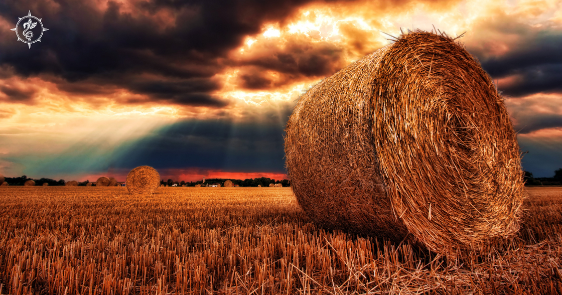 The Spirit of Lammas Honouring Abundance and Summer’s Peak4