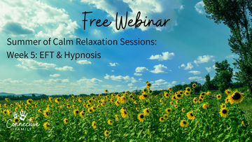 simplero-free-webinar-11-