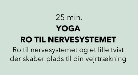 Yoga Christina YinChanges 25 min NERVESYSTEM 