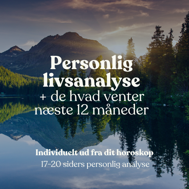 livsfaseanalyse (2)