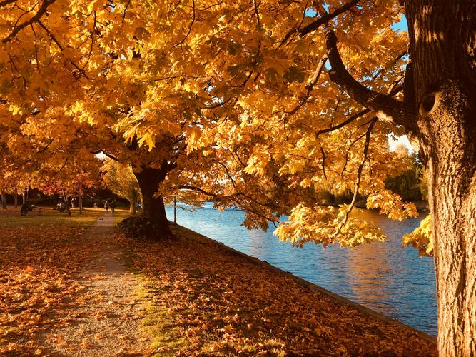 Autumn Day light Savings