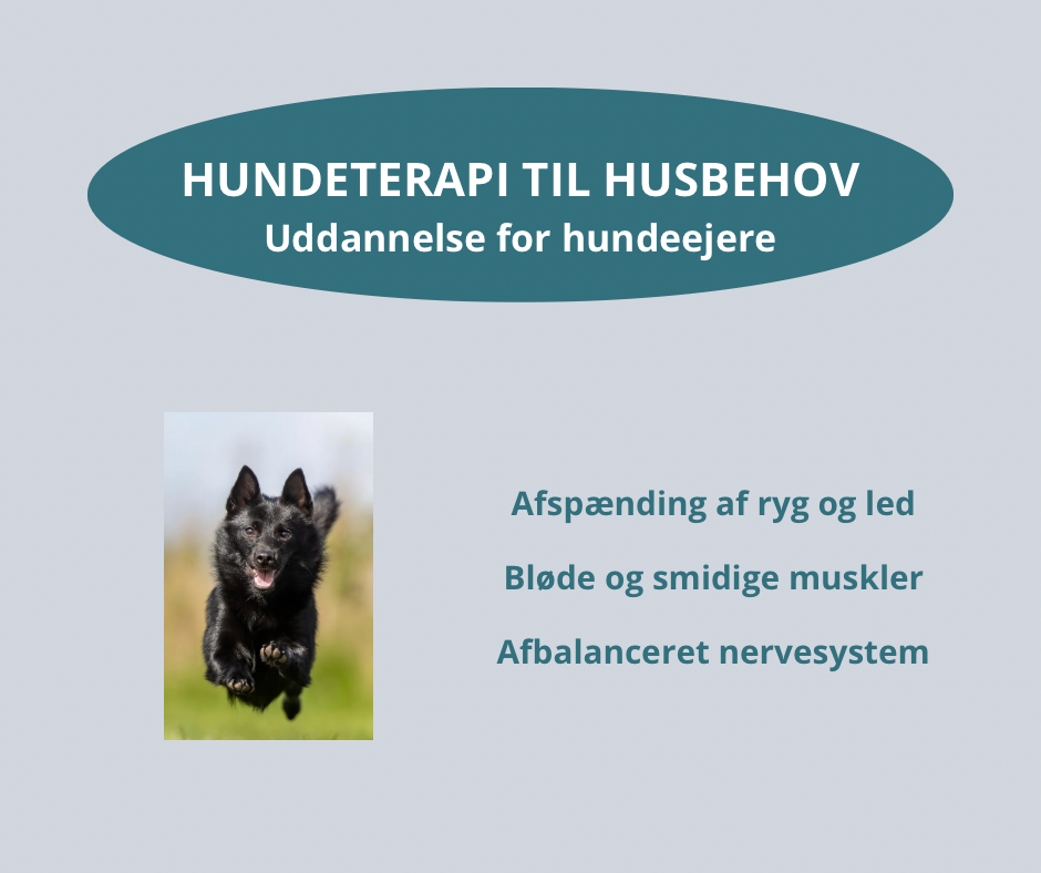 Hundeterapi - forside