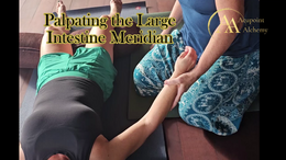 AA - Module 2 - Palpating the Large Intestine Meridian costa dulce
