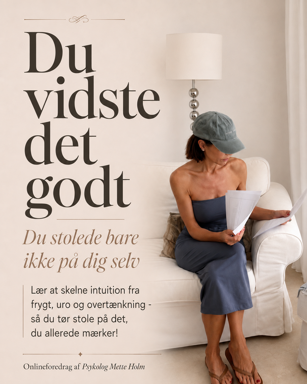 Du vidste det godt af Mette Holm