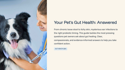 WN-Public-QandA-Aug-2026-Your-Pets-Gut-Health-Answered-thumb