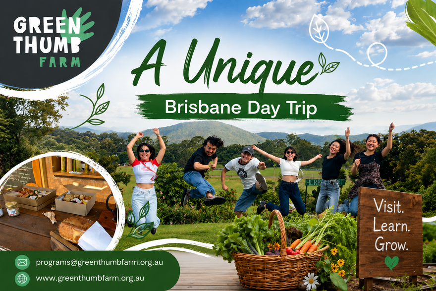 A Unique Brisbane Day Trip