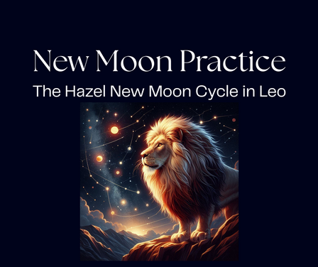 New Moon Blog