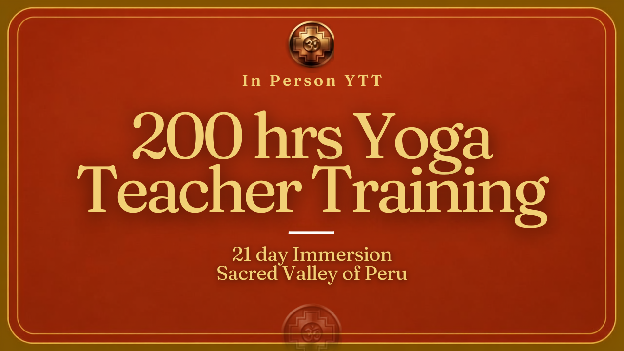 AY PCI 200 hrs Yoga Teacher Training