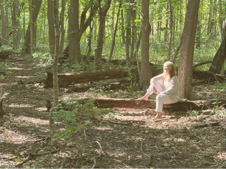 Wellness Wayfinder