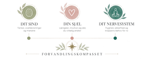 Illustration af vores tre-deling: Sind, sjæl, nervesystem