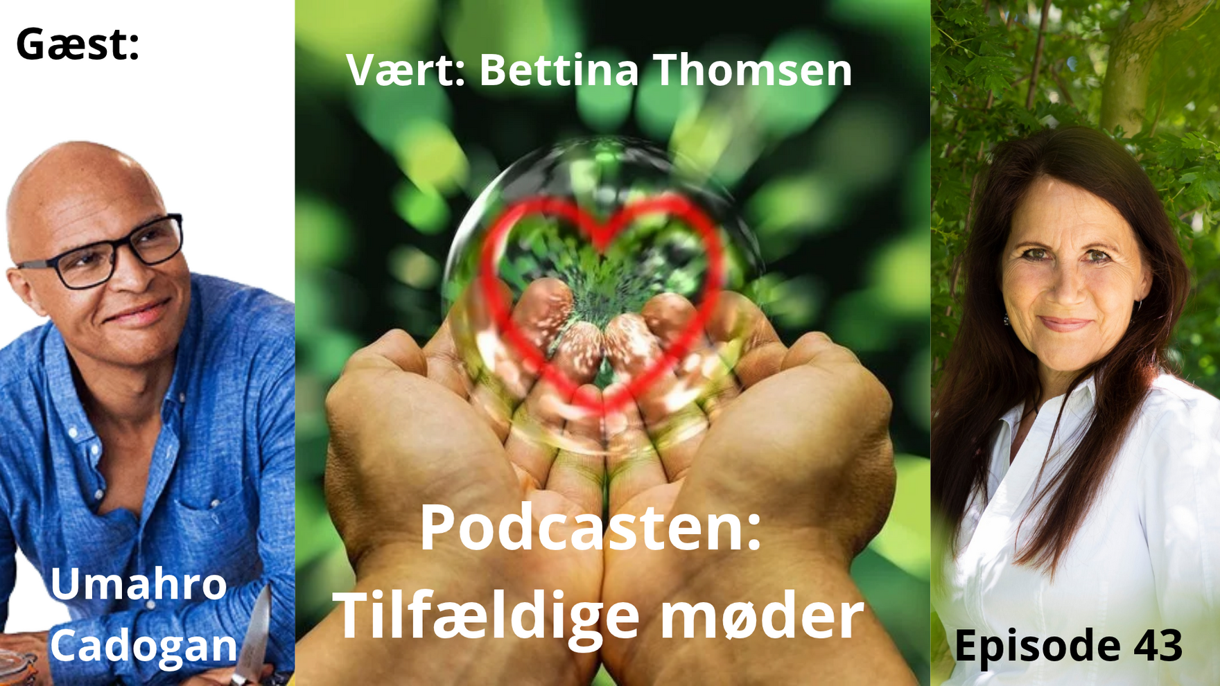 Tilføj en overskrift (68)