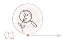 Illustration af en lup