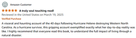 review screenshot