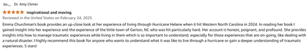 review screenshot