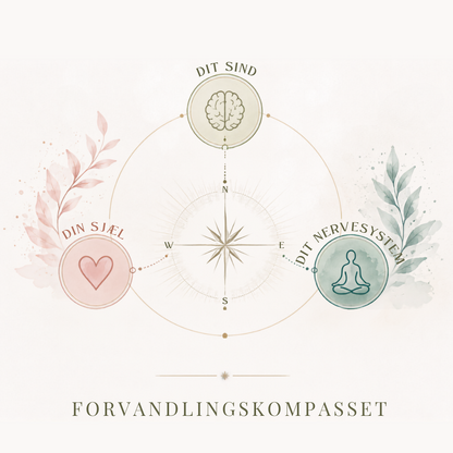Illustration af vores tre-deling: Sind, sjæl, nervesystem