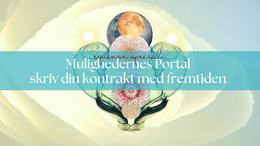 Mulighedernes Portal - skriv din kontrakt med fremtiden header