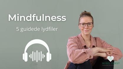 Lene Steinke, Diætist, psykoterapeut, lydfiler til mindfulness