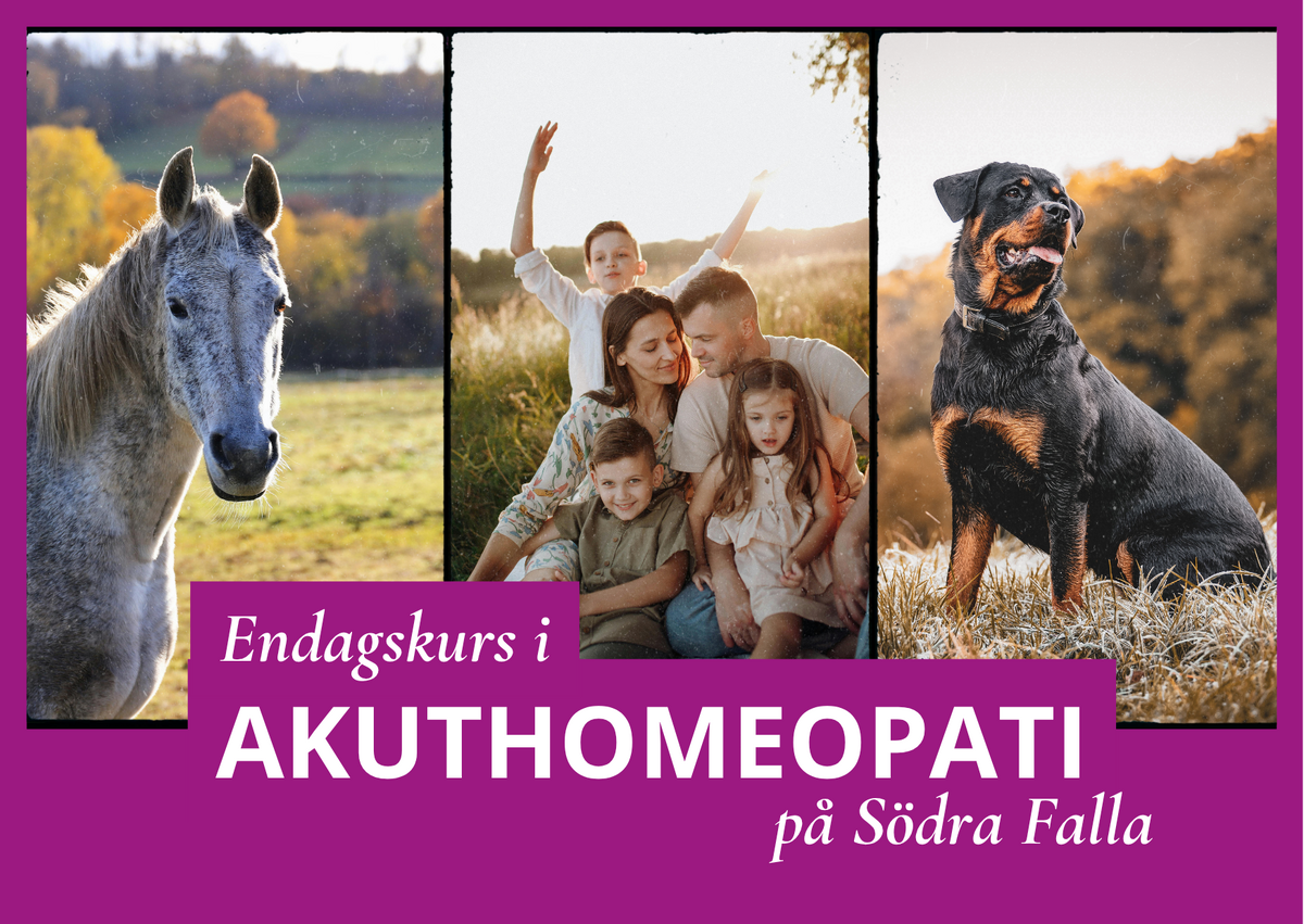 Akuthomeopati på Södra Falla
