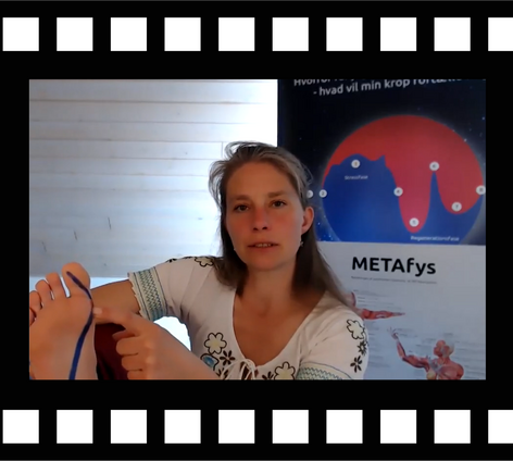 METAsundhed Knyst