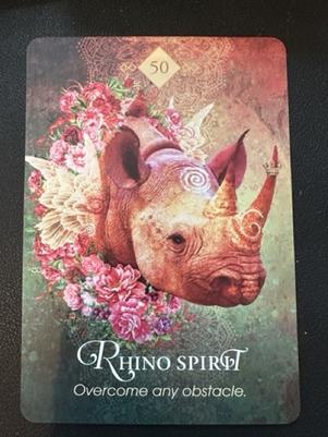 rhinoceros spirit