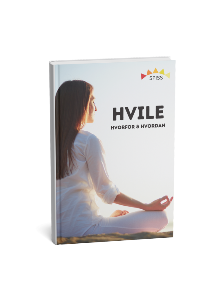 Mini E-bok Hvile