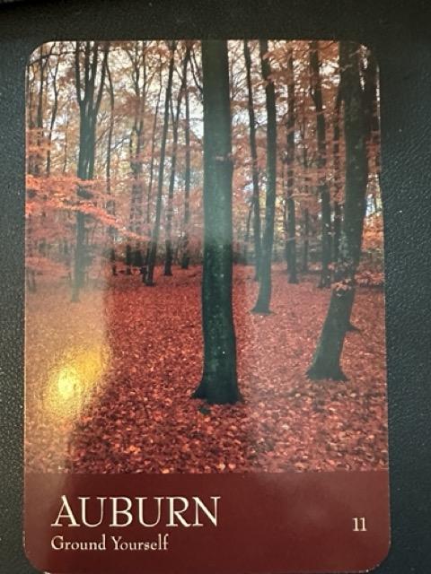 auburn the secret language of color