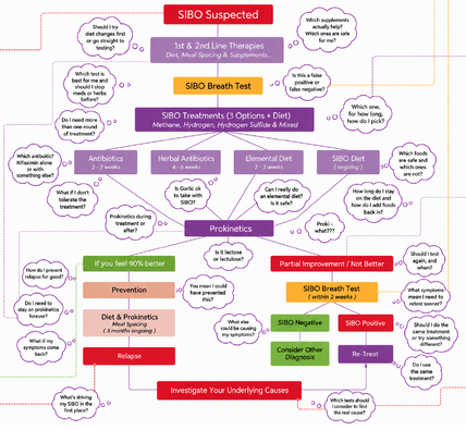 The SIBO Recovery Roadmap algorithm, showing the decision points across testing, treatment, diet, retesting and recurrence