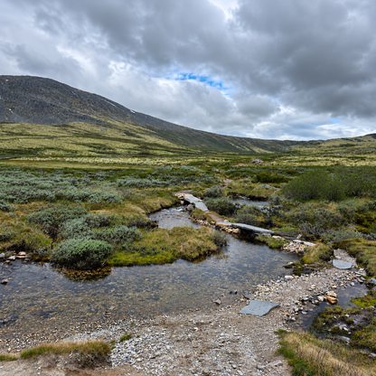 Rondane