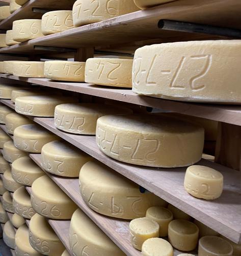 maturing cheese Botton Creamery