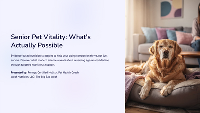 Senior-Pet-Vitality-Whats-Actually-Possible-thumb