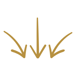 Down Arrows (1)