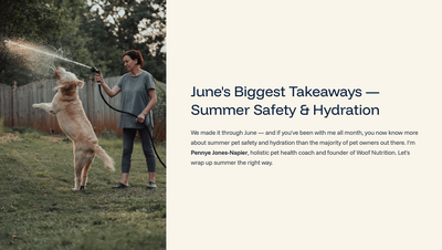 Junes-Biggest-Takeaways-Summer-Safety-and-Hydration-thumb