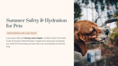 Public-Q-A-June-2026-Summer-Safety-and-Hydration-for-Pets-thumb