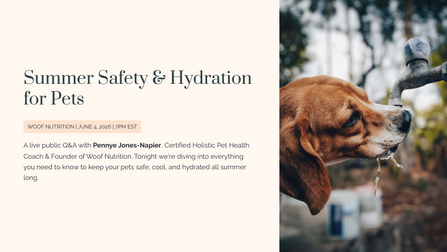 Public-Q-A-June-2026-Summer-Safety-and-Hydration-for-Pets-thumb