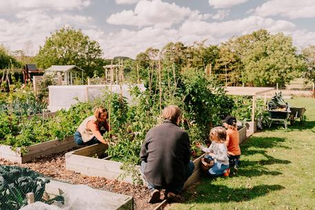 Family gardening in the kitchen garden at the Homestead