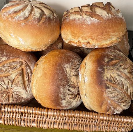 Bread