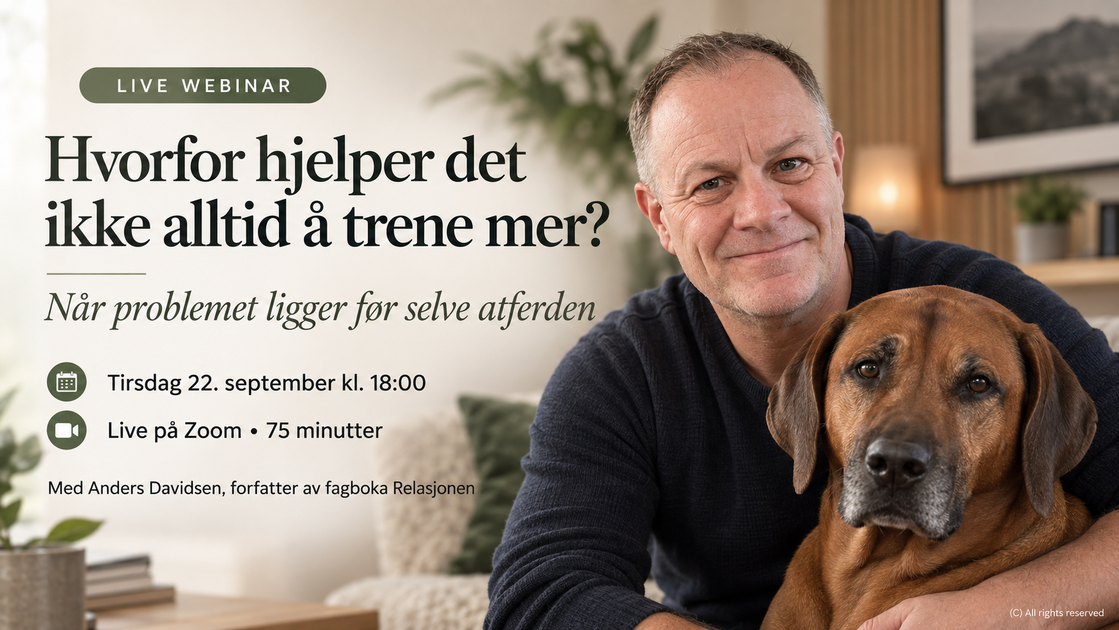 webinarbilde Anders Davidsen