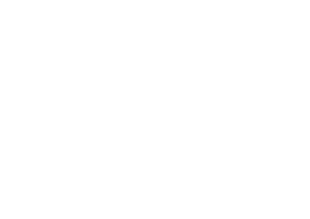 ACI LOGOS_ACI - Primary Logo White