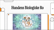 Trigeminusnerven